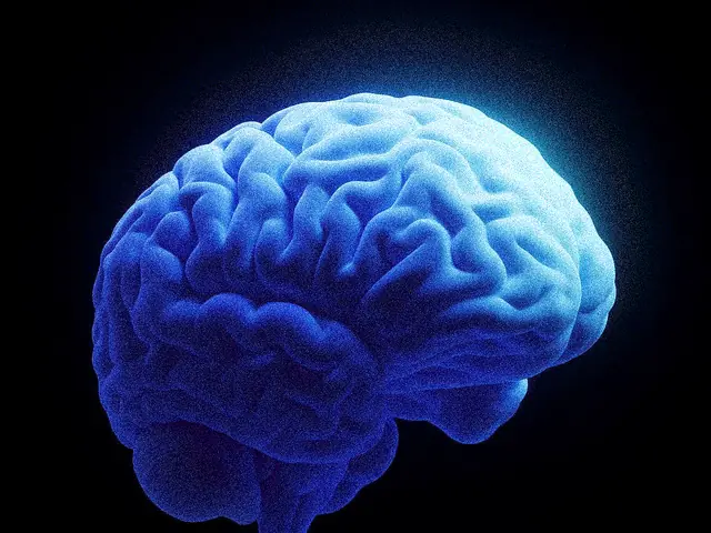 A glowing blue rendering of a human brain
